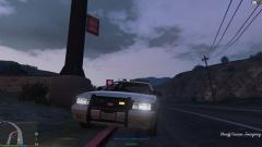SAPD Patrol