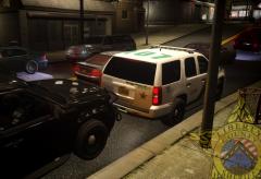 Liberty County Sheriffs Skin