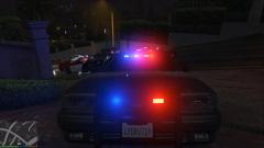 LAPD Unit 6 (Narcotics)