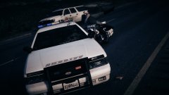 Thank you officer for taking care of the motorcycle officer for me!