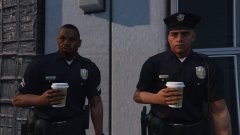 Officers Ronson and Ronson