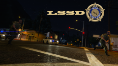 The LSSD