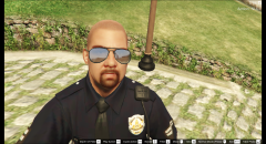 GTA5_2015-05-22_13-26-02-32.png