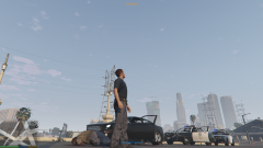 GTA5_2015-05-28_16-42-04-47.png
