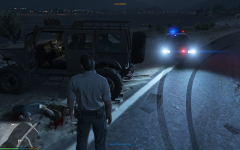 GTA5_2015-05-29_17-21-58-56.png