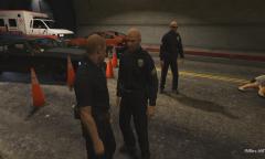 Traffic collision w/ fatalities investigation