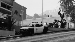 LSPD-Vinewood