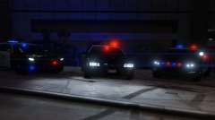 LSPD Buffalo, Stanier, and Interceptor