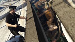 Police brutality gone overboard