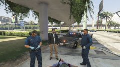 LSPD + EMS