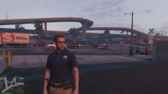 GTA V steve haines