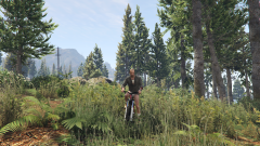 PALETO FOREST GRASS
