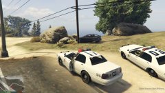 Collision during pursuit