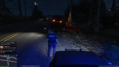 Drunkpolice's custom dark navy Deputy sheriff uniforms