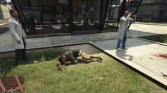 Investigate the scene