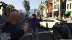 LSPD FREEZE!