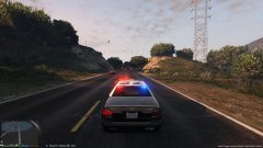 LSPD partaking in a countryside pursuit