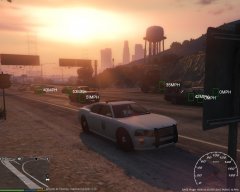 Evening Speed Control with a SAHP Buffalo