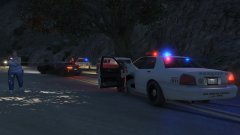 LSSD Grapeseed Pursuit