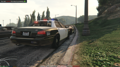 Normal Traffic Stop