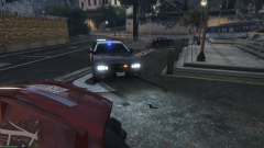 Waist Deep In A Trunk