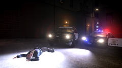 Allegheny County Police