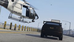 Sir, could you please pull over to the side of the road?