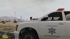 San Andreas State Parks Bison