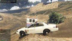 Dispatch, please redirect another unit to the last niner