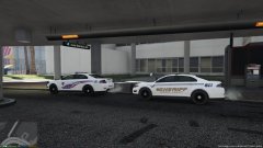 Harris County Sheriff Office and Precinct 4 Constable.