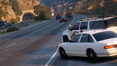 What a lovely couple!