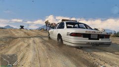 Morning patrol in the desert