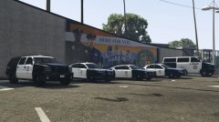 LSPD 2015