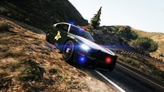 New Hampshire State Police (Buffalo Skin)