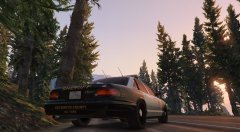 LSSD Unit Paleto forest.