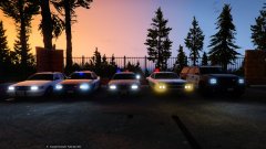 Part of the ever growing fleet (LSPD)