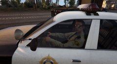 Sheriff Enjoying the evening.