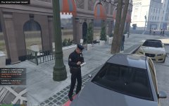 Officer Ronson, citation lover