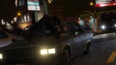 There's an officer on your hood, sir!