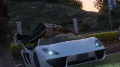 Stop laying on my car!