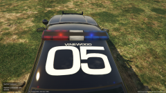 Unit 05 - Vinewood Division