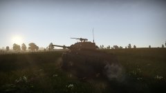 "Taylor" in the sunset.