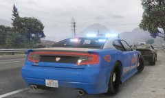 GSP traffic stop