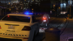 Westlake County Police