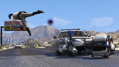 Whoops, sorry officer!