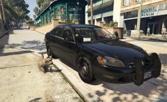 K9 Ready For Patrol!