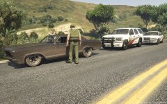 Another Great Day For Speed Trapping!