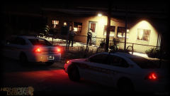 Domestic Disturbance