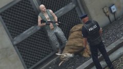 Call A Vet ... Do you Have the Permission..!