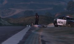 Finally Trevor Was Arrested And awaitng the transporter